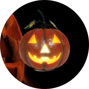 Kaufen Kürbisse für Halloween