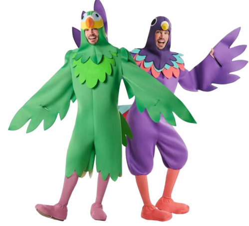 Pareja de pájaros verde y morado