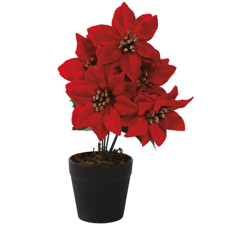 Poinsettia Table Ornament 25 cm with Pot