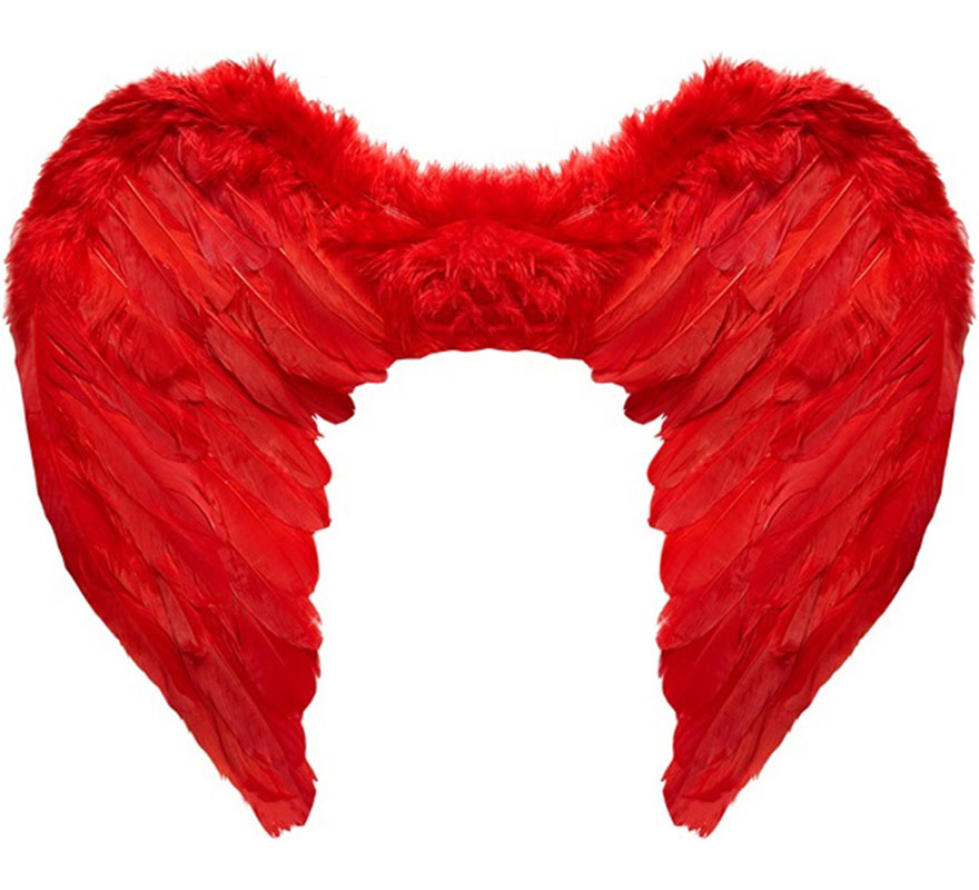 Wings with red feathers 50x40 cm Wings with red feathers 50x40 cm