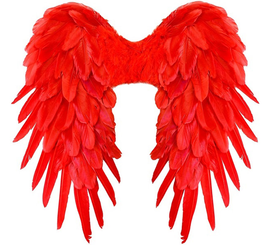 50x50 cm Foldable Feather Wings in Various Colors 50x50 cm Foldable Feather Wings in Various Colors