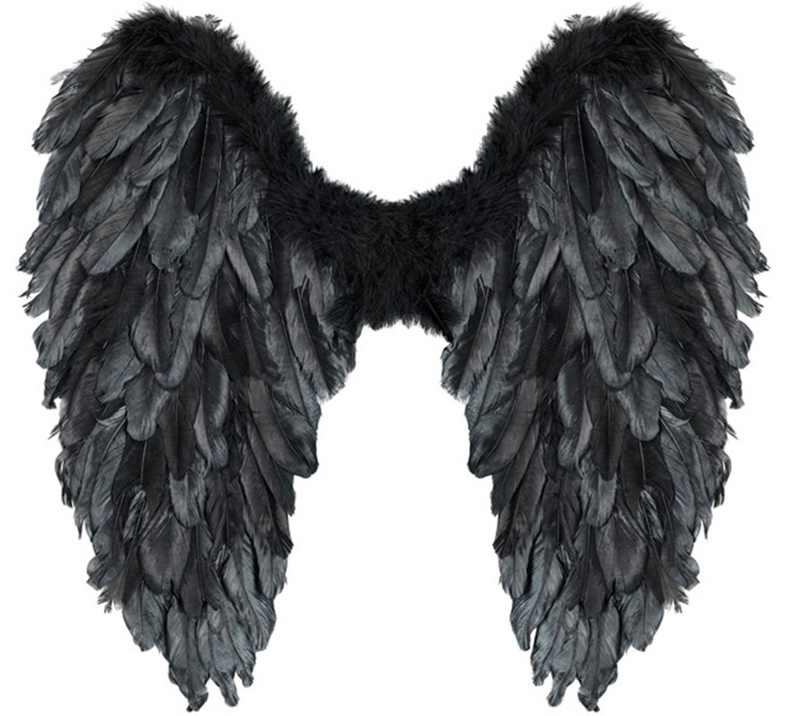 50x50 cm Foldable Feather Wings in various colors