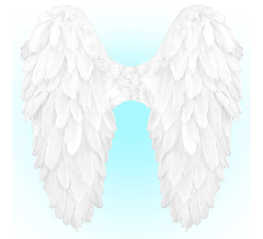 50x50 cm Foldable Feather Wings in various colors