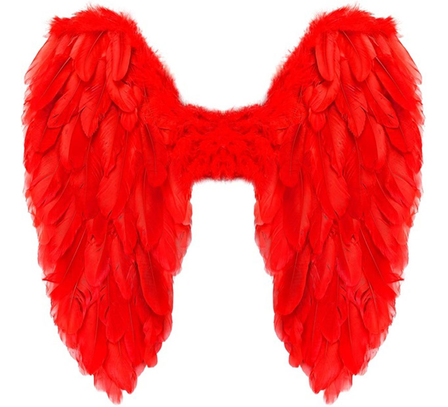 50x50 cm Foldable Feather Wings in various colors