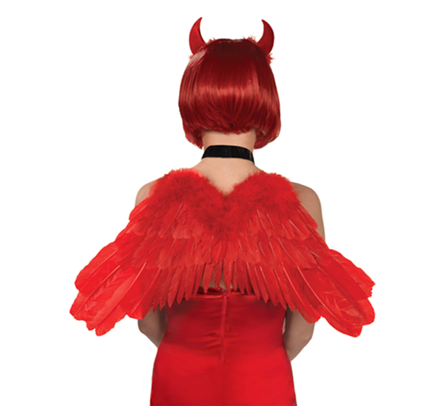 Image of Alas rojas de diablesa de 40 x 45 cm 