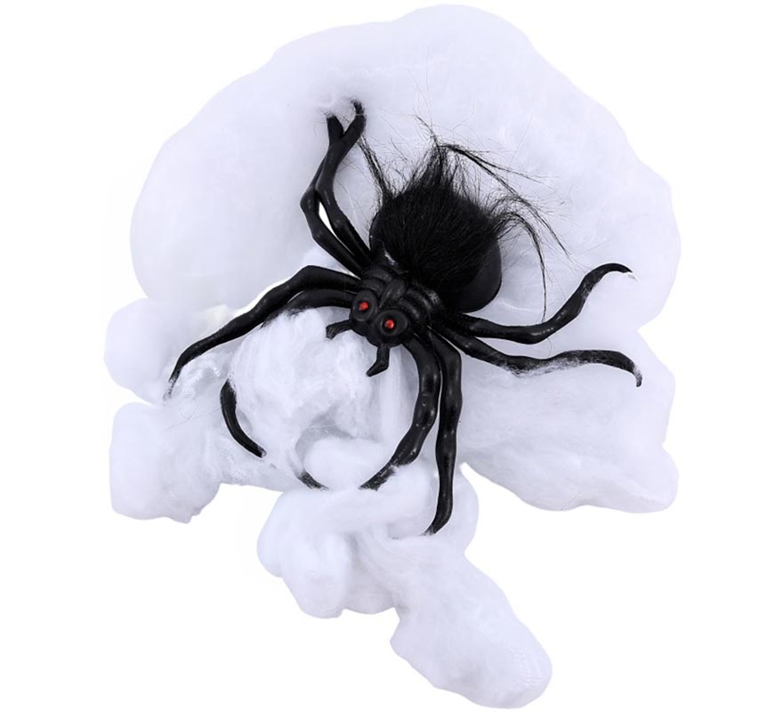 Spider 19x17 cm
