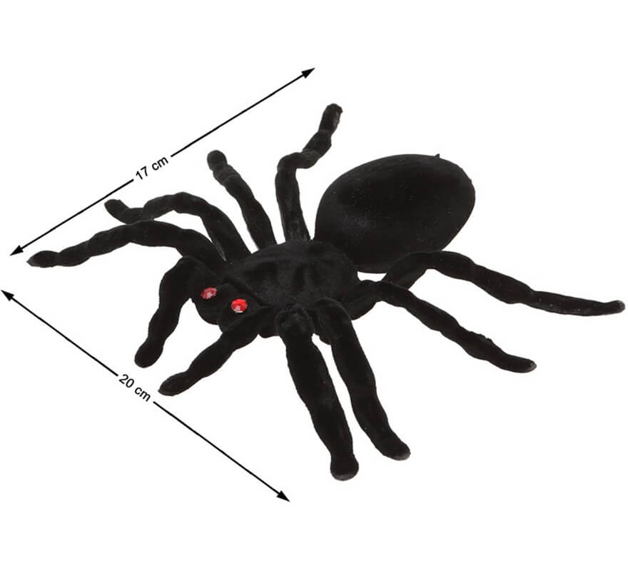 Spider with red eyes 20X17 cm