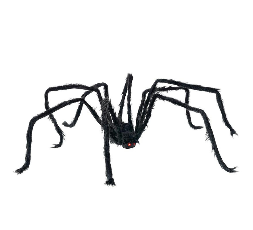 Black spider with thin legs 28x43 cm