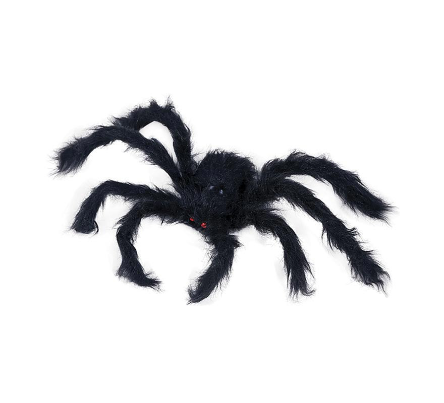 50 cm black hairy spider