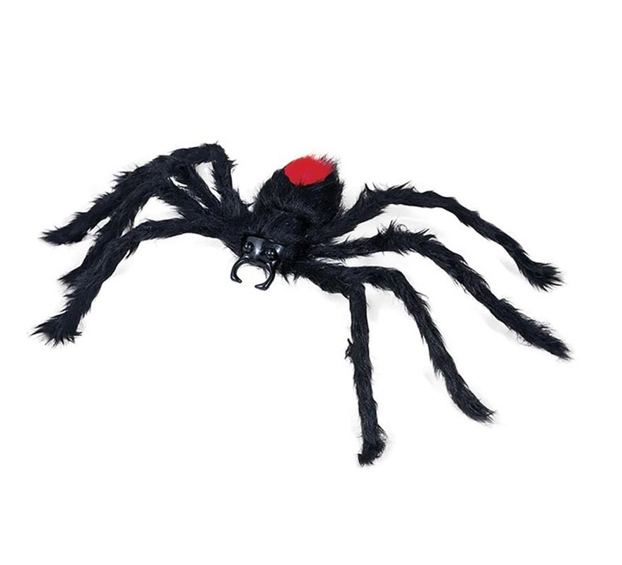 Black hairy spider red back 60 cm