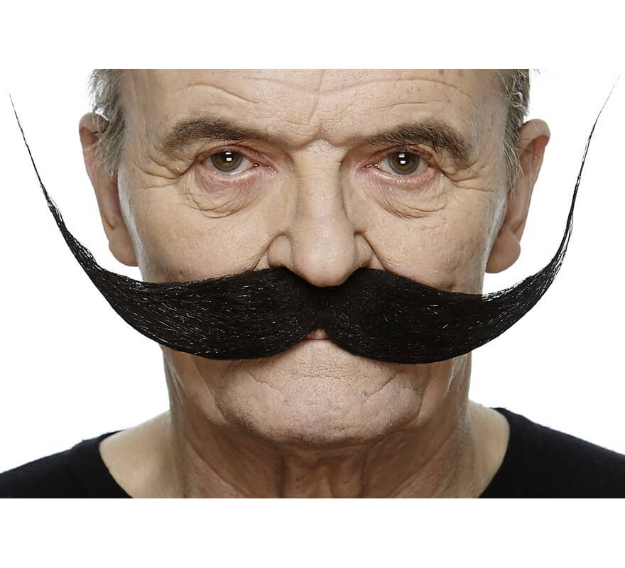 Moustache à la française