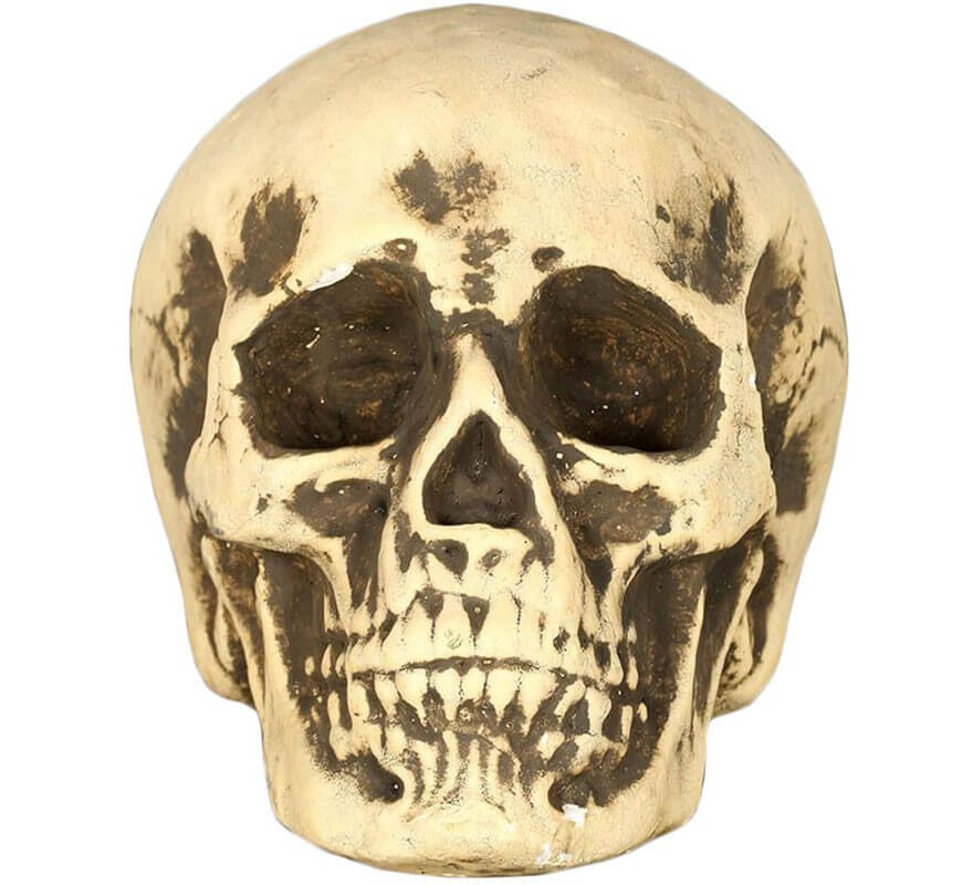 Yellowish Skull 17 cm