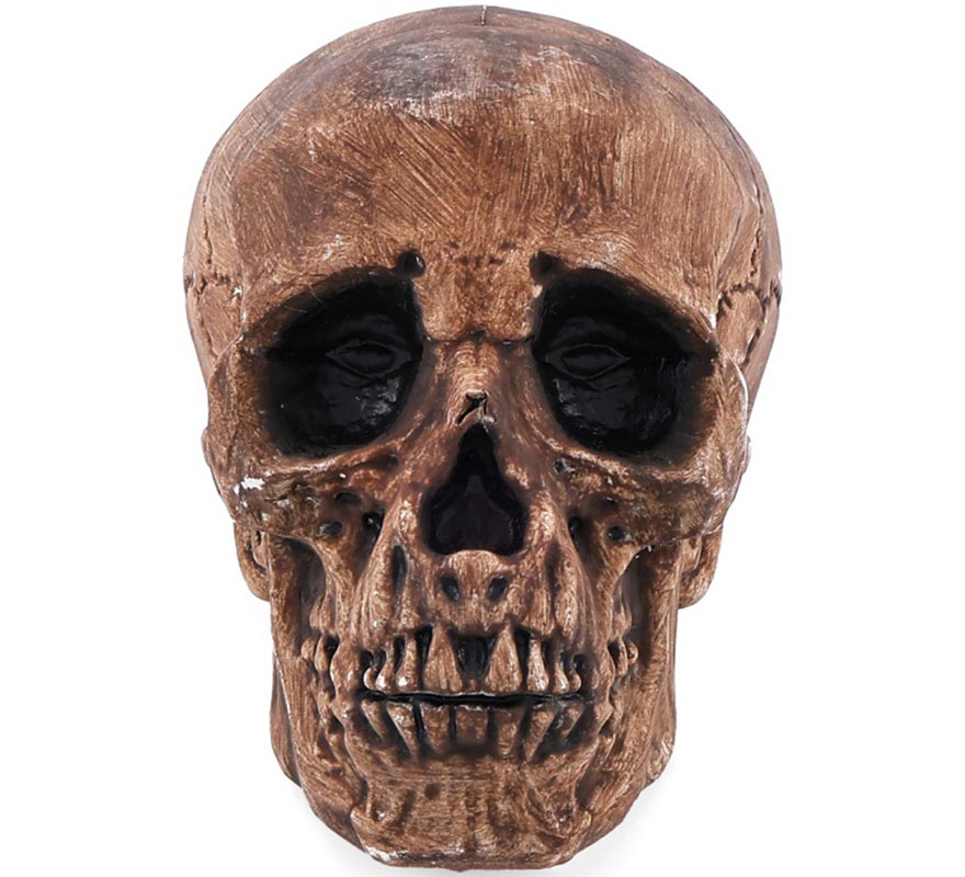 16 cm Bronze Skull