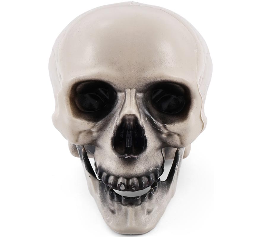 Skull with Moving Jaw