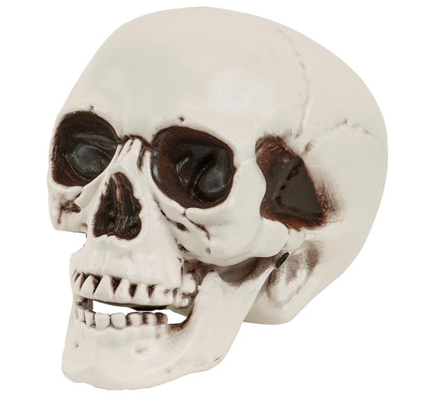 Cráneo o Calavera con Mandíbula Móvil de 12 cm