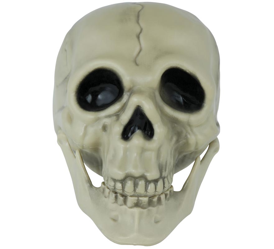 13cm skull 13cm skull