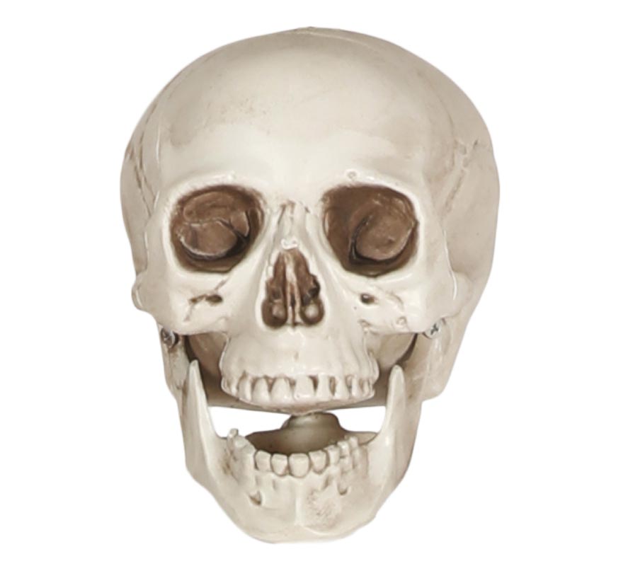 20cm skull 20cm skull