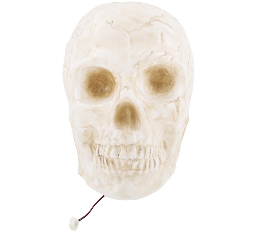 Large Skull with Light Large Skull with Light