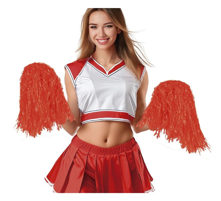 Papelão com 2 Pompons em várias cores 80 gr
