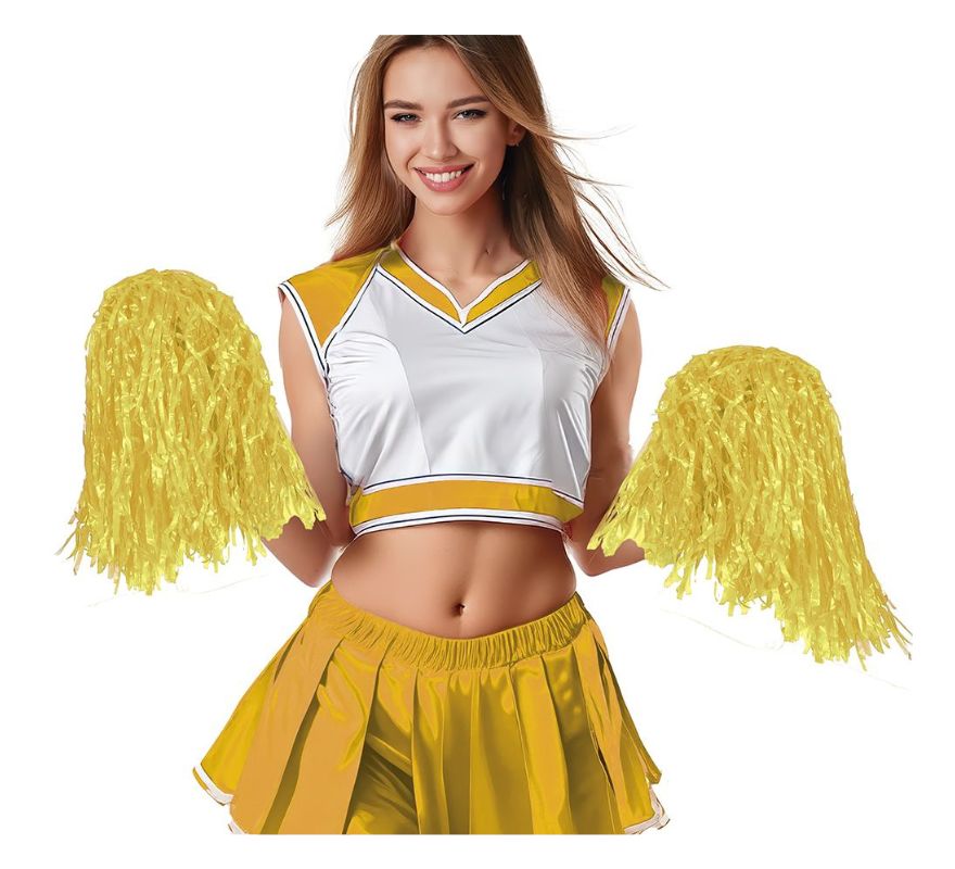 Papelão com 2 Pompons em várias cores 80 gr