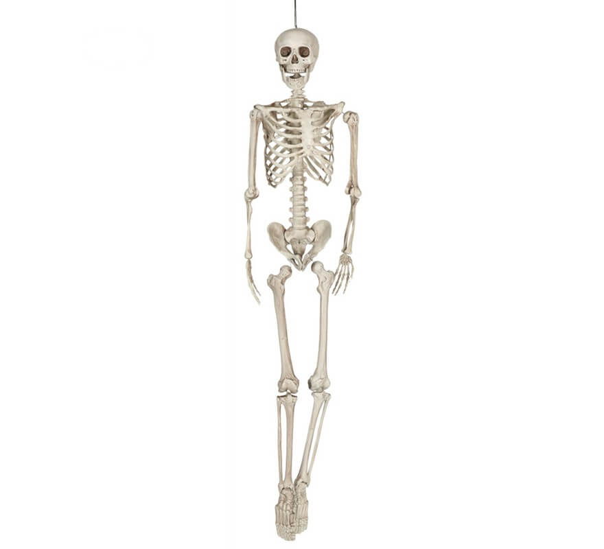 Skeleton Pendant 160 Cm