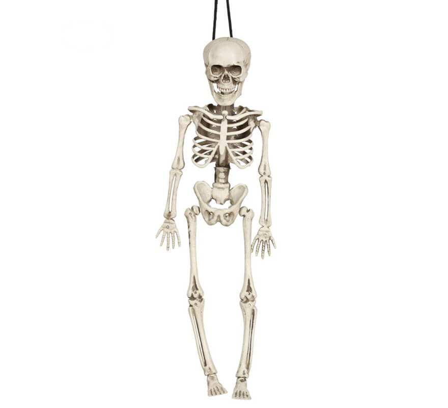 Skeleton Pendant 40 Cm