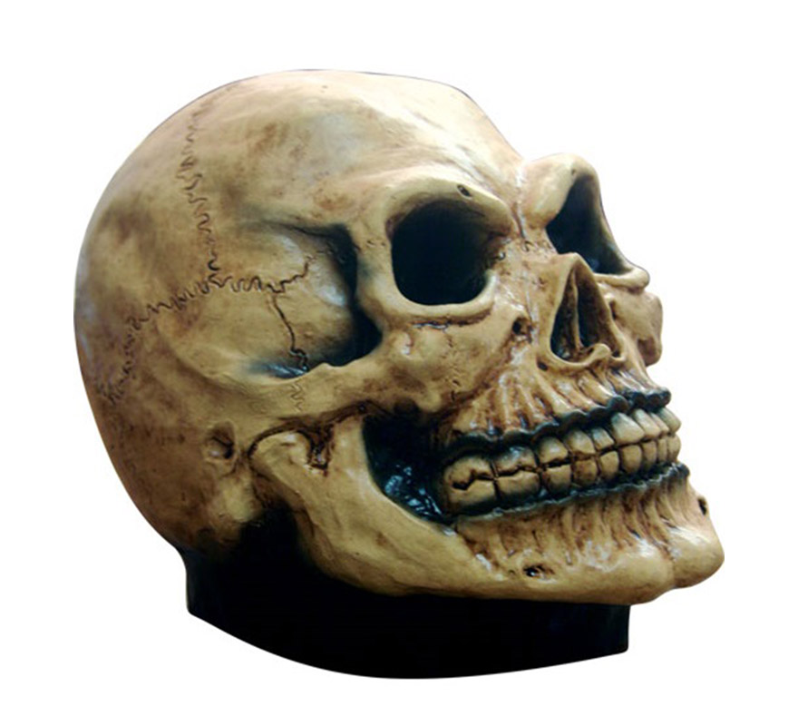 Cráneo Calavera de decoración para Halloween