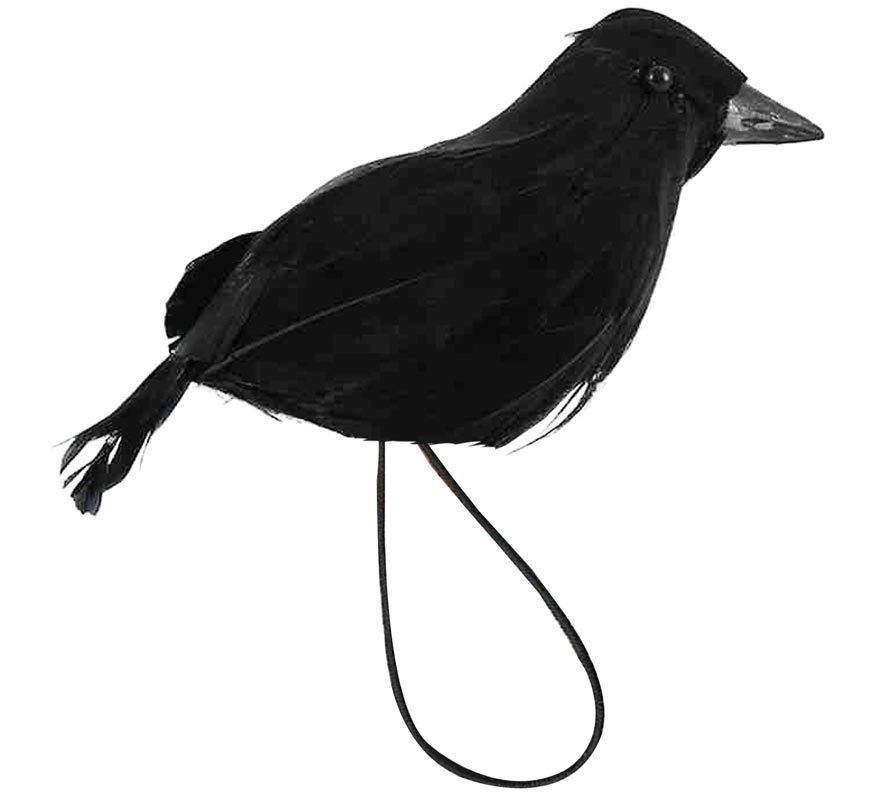 Raven with 15cm Shoulder Elastic