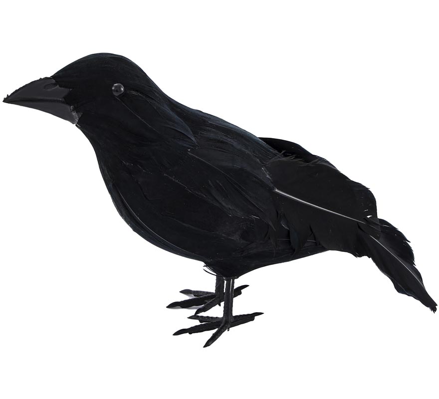 Black Raven
