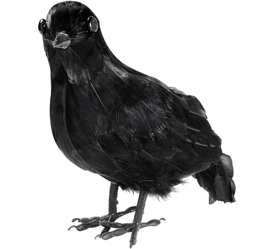 Black Raven with Feathers