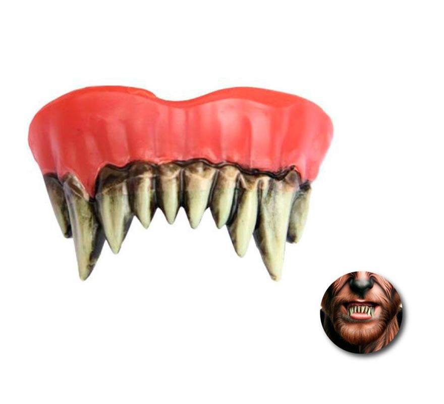 Adult Werewolf Upper Teeth