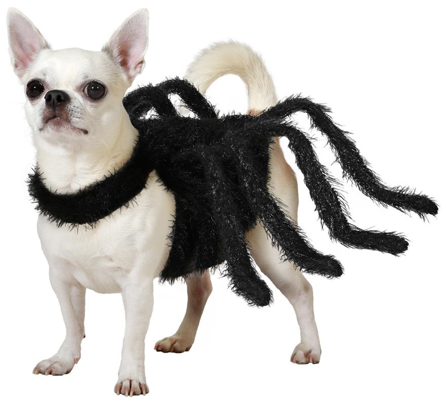 Furry Tarantula Spider Dog Costume