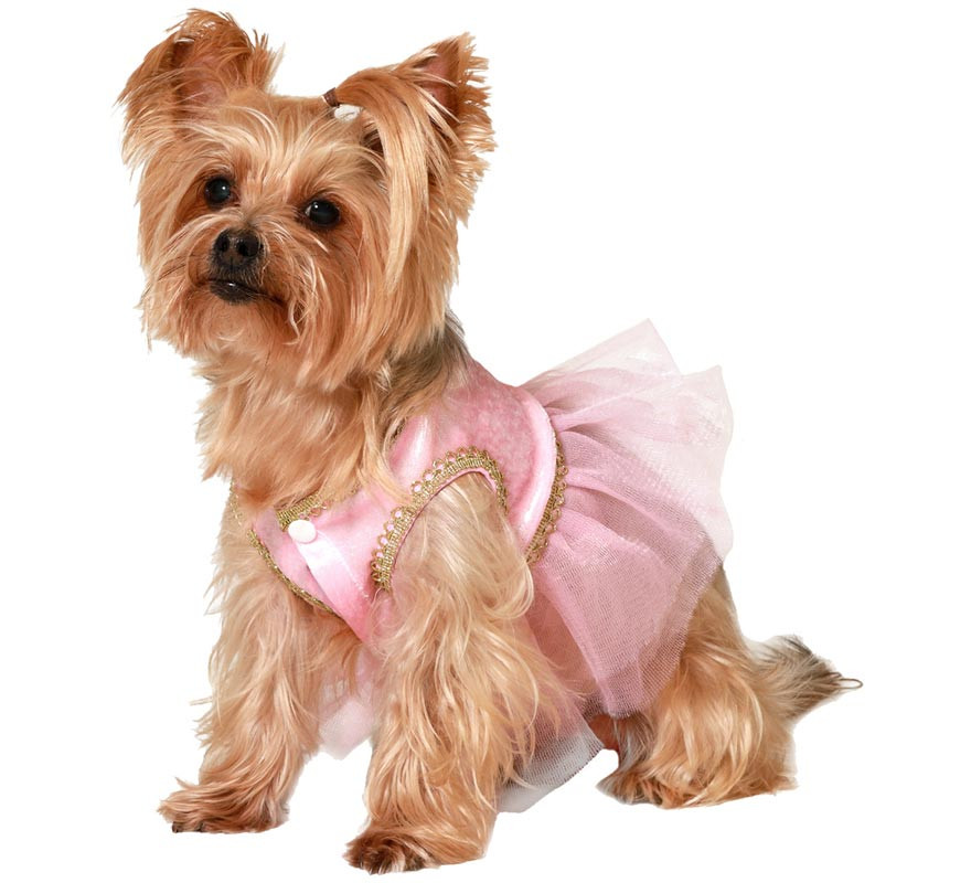 Ballet Dancer Dog Costume