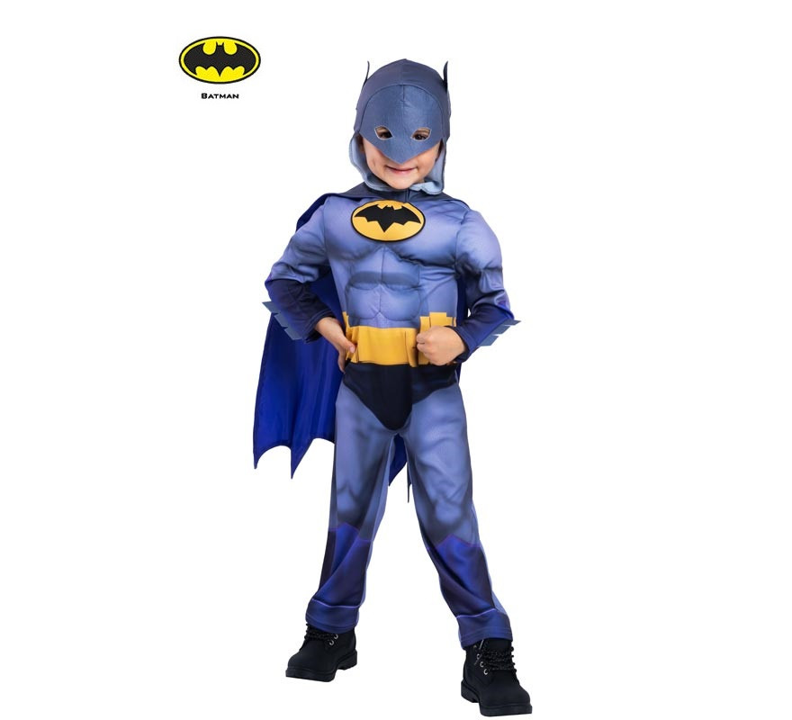 Batman Batwheels Preschool Hooded Costume for Boys