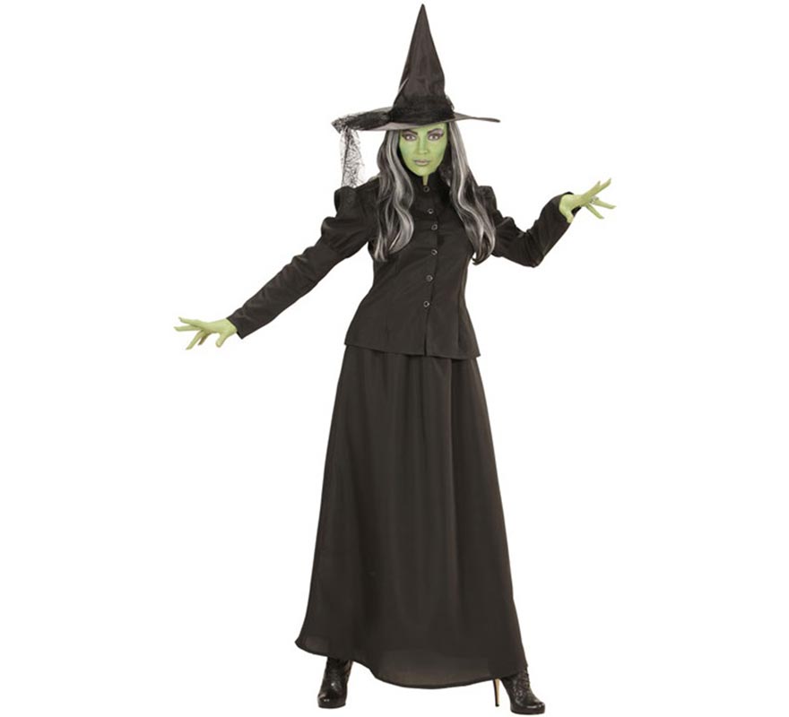 Women's Fairytale Witch Costume