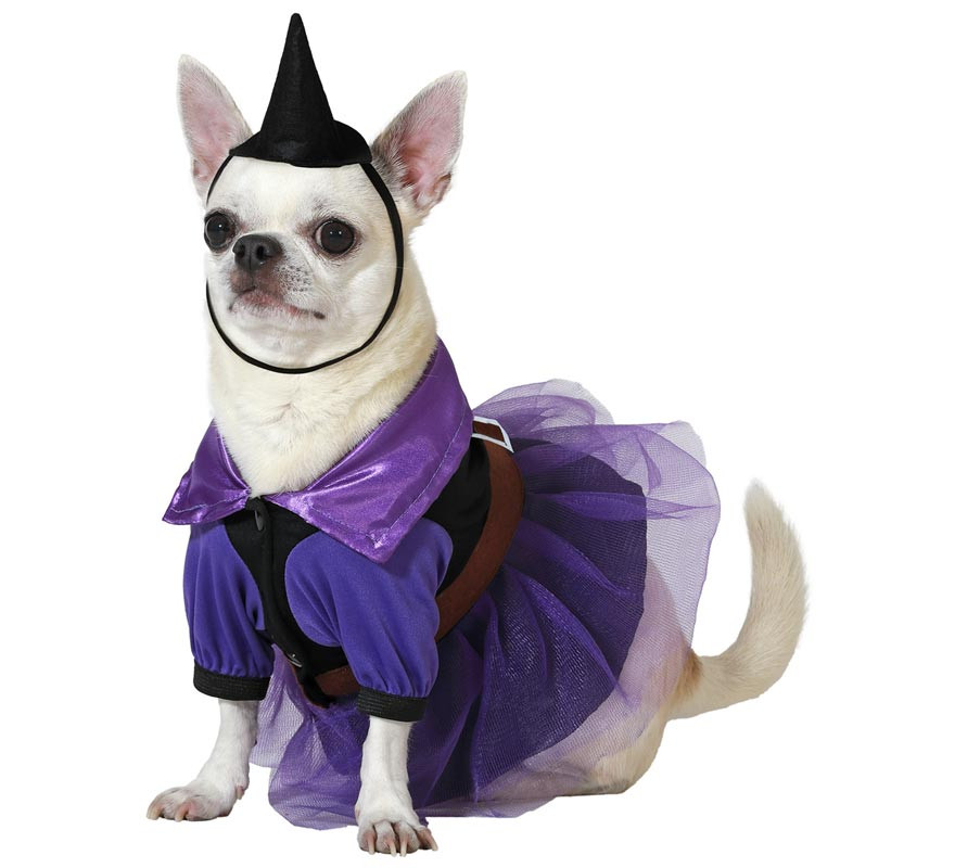 Purple Witch Costume with Hat for Dogs