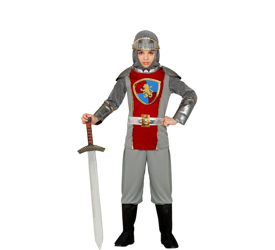 Gray Medieval Knight Costume with Hood for Boys