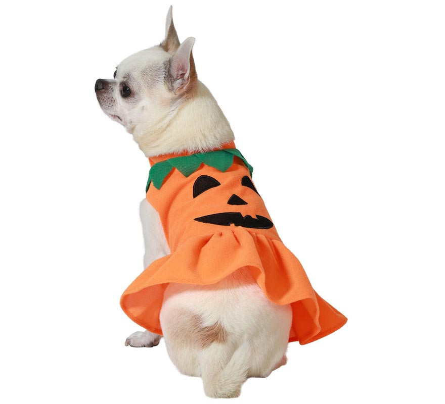 Halloween Pumpkin Dog Costume