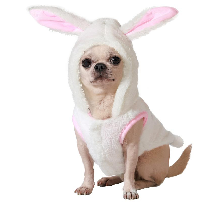 White bunny costume for dogs