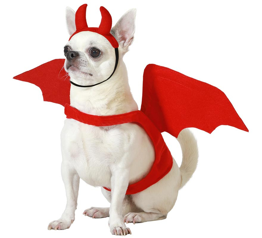 Winged Demon Costume with Horns for Dogs