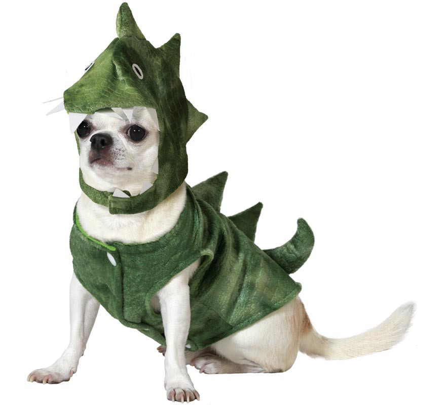 Green dinosaur costume for dogs