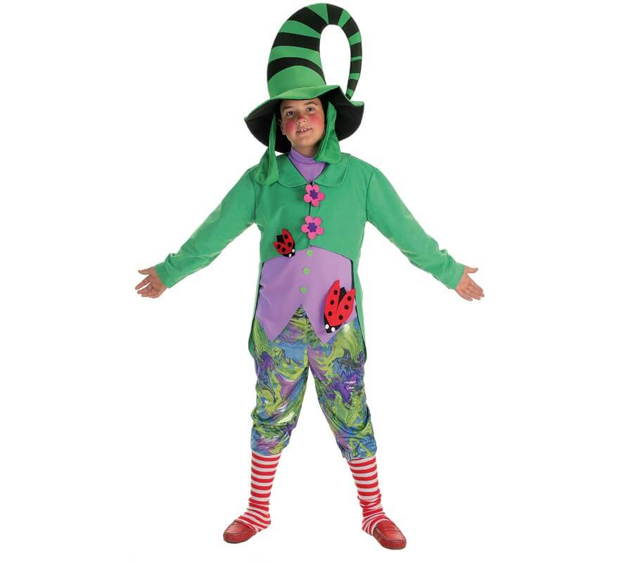 Disfraz de Duendecillo verde para niño
