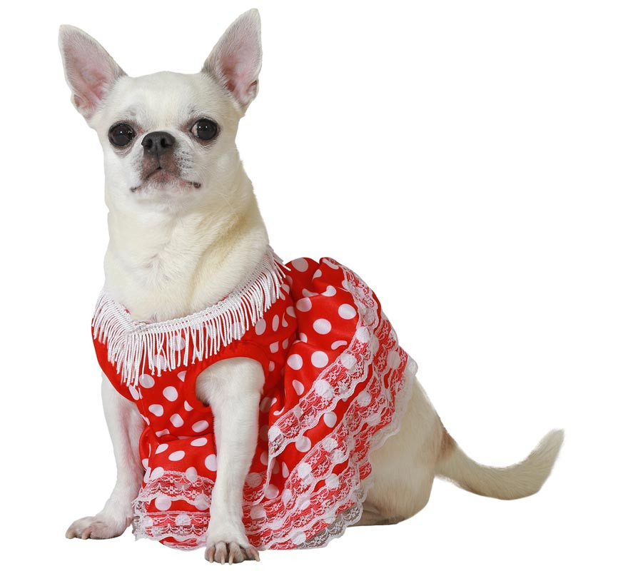 Red Flamenco costume for dogs