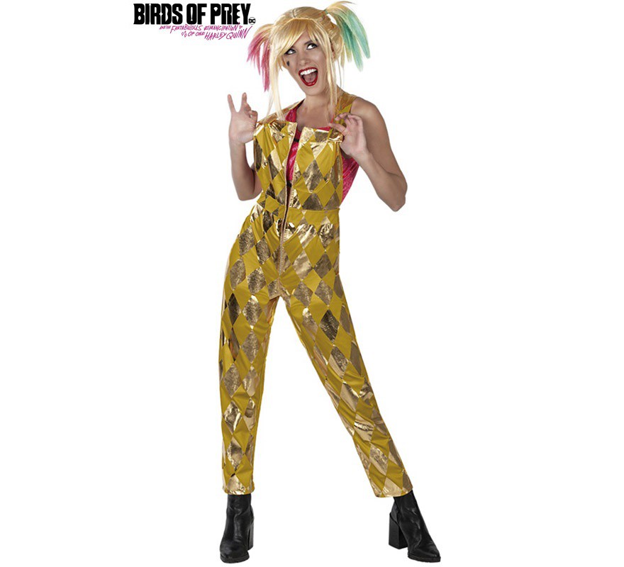INTIMO DC Comics Costume Intero Harley Quinn Da Donna Per Cosplay O Pigiama – Morbido Poliestere Con Cappuccio E Zip