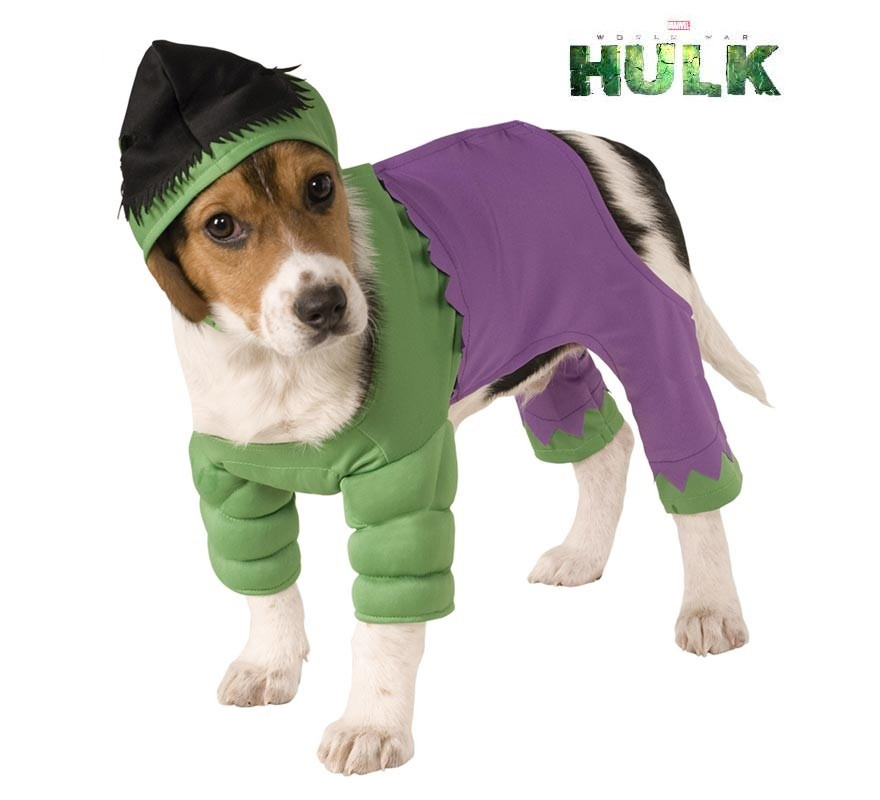 Hulk costume with hat for dogs