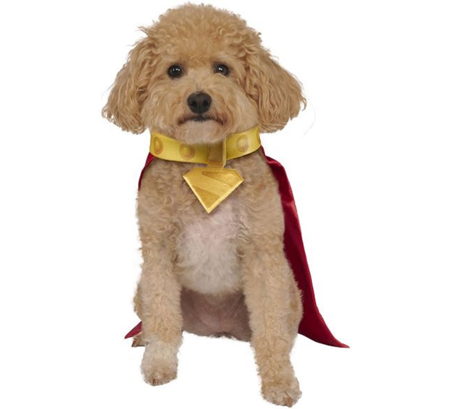 Krypto costume Superman for dogs