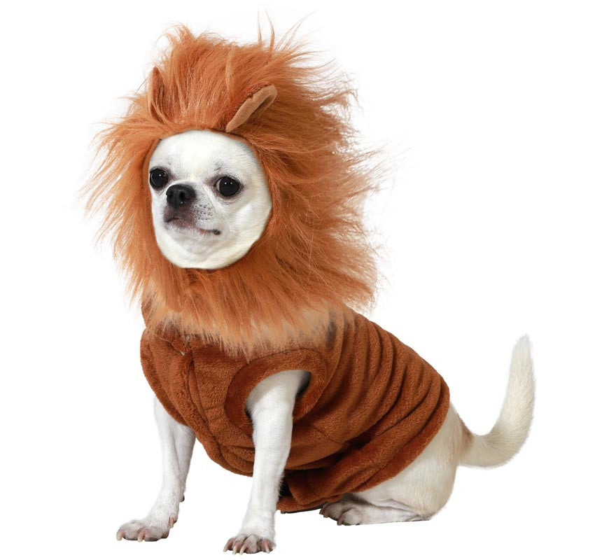 Lion costume for dogs