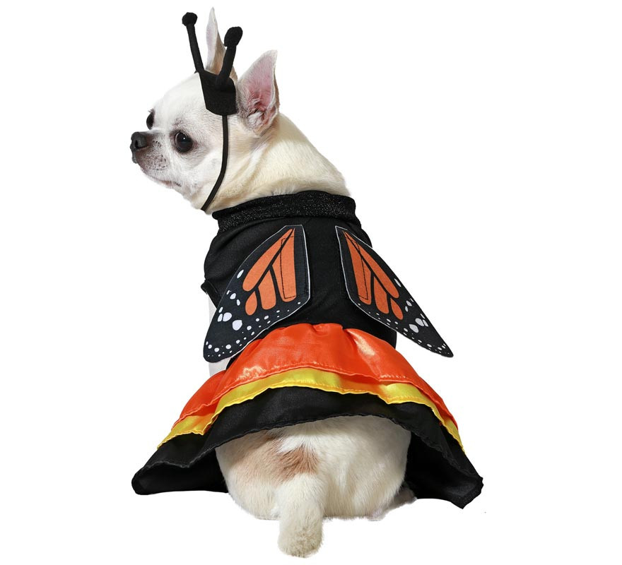 Butterfly dog costume