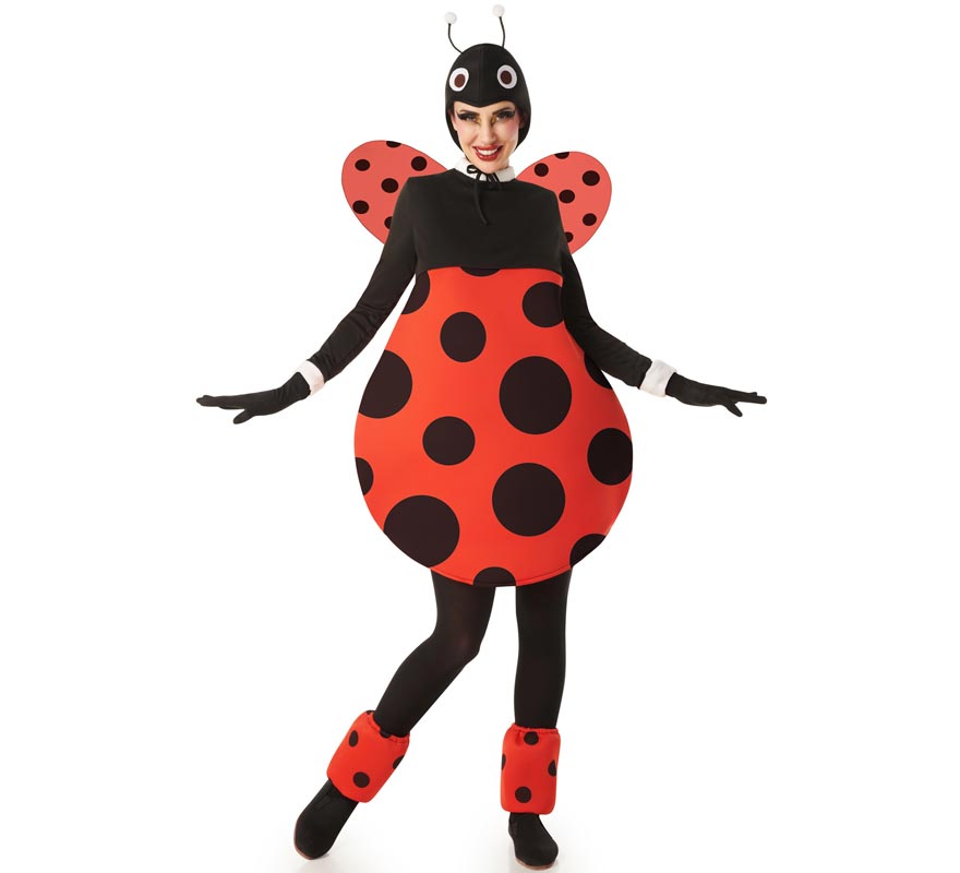 Chubby Ladybug Costume with Wings for Women