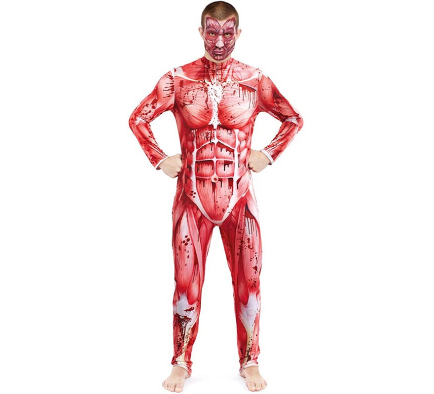 Modèle anatomique avec costume de muscles pour homme